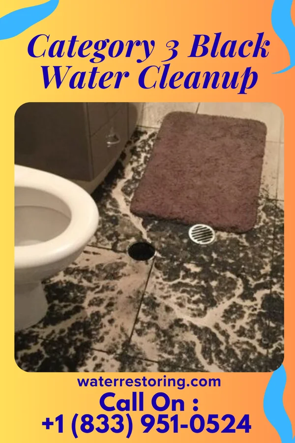 Category 3 Black Water Cleanup in Glen Hope, PA