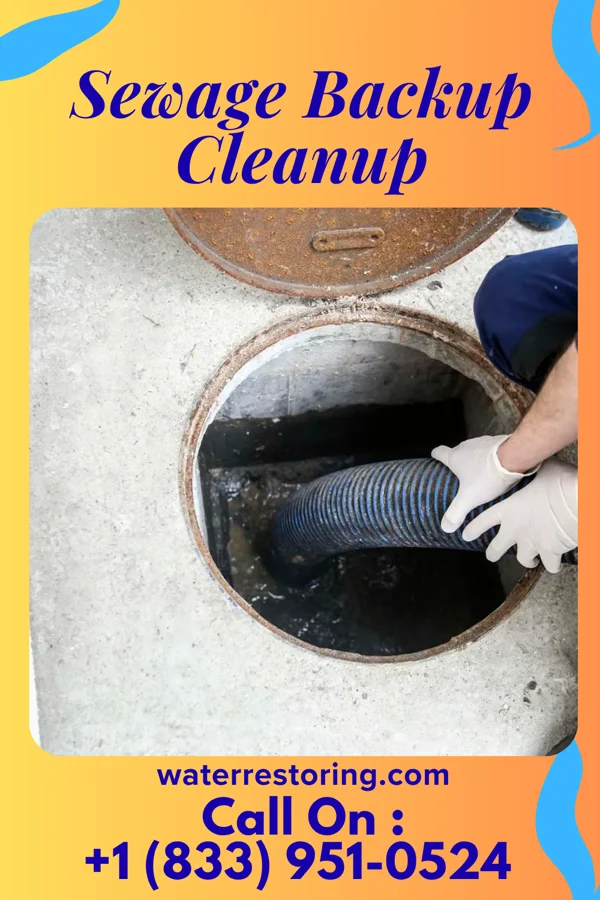 Sewage Backup Cleanup in Glen Hope, PA